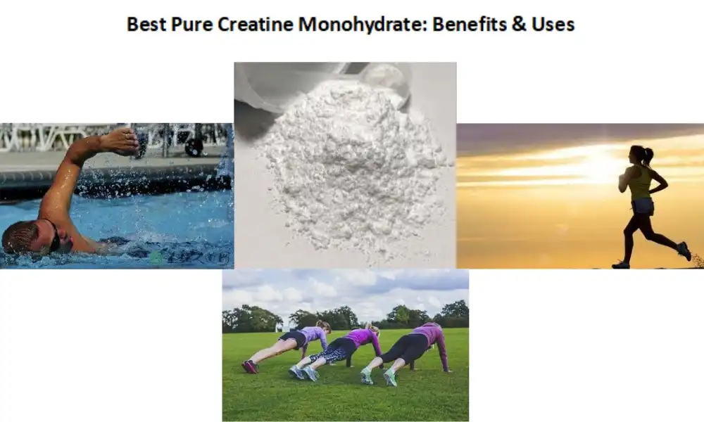 Best Pure Creatine Monohydrate: Benefits & Uses